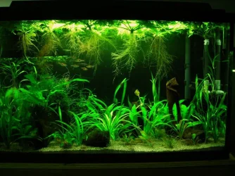 29g Feb 24-12.webp