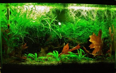 10g Sep 2-15.JPG