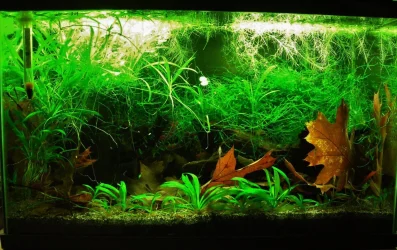 10g Sep 2-15.webp
