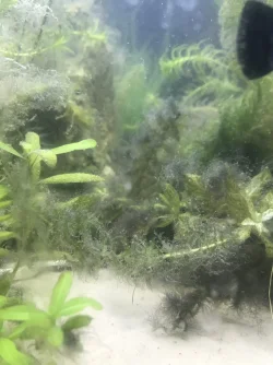 3EB5553D-E0D0-48E9-8D18-526E5B7E4AC6.webp