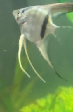 20230408_031552.jpg
