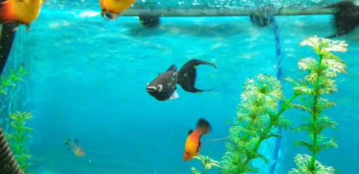 20230411_205954.webp