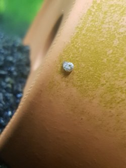 20230414_212417.jpg