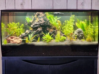 3-21-23 new 32.5 Flex.webp