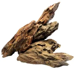 dragon stone.webp