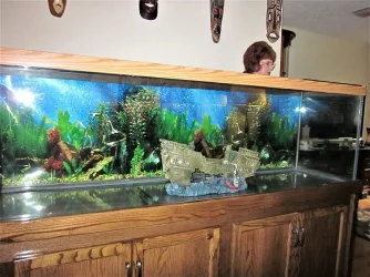 moving tank 2009.webp