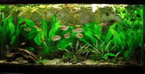 90g Aug 23-13.webp