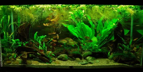 90g Sep 15-15.webp