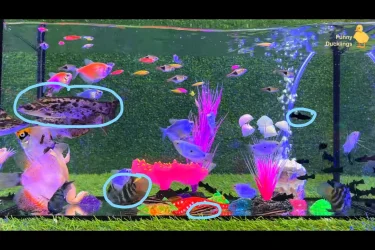 Screenshot (1032).webp