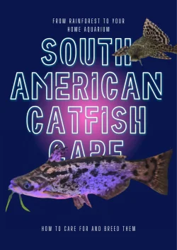 Catfish.webp