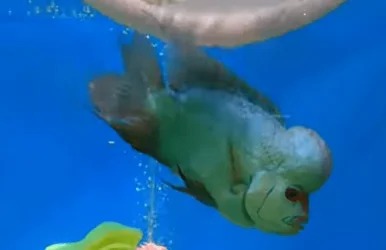 Screenshot (1044).webp