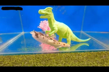 Screenshot (1042).webp