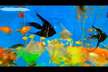 Screenshot (1071).webp