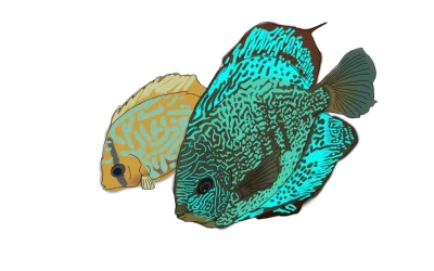 discus.webp