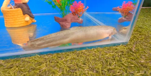 Screenshot (1118).webp