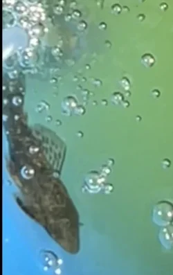 B817B462-E6E9-42FB-95F1-72CA40E660F8.webp