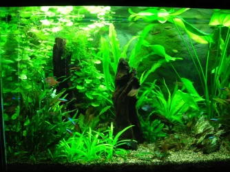 90g May 13-09  (2).webp