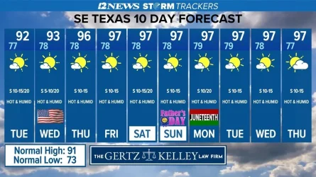 Forecast.webp