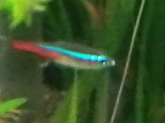 20230610_160630.jpg 20230610_160630.jpg