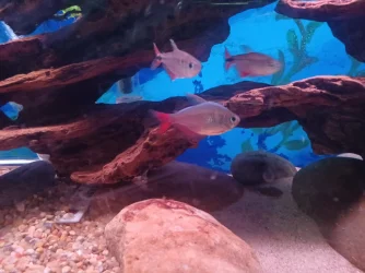 20230616_195851.webp