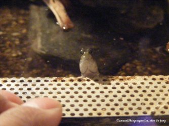 DSCF2069.JPG