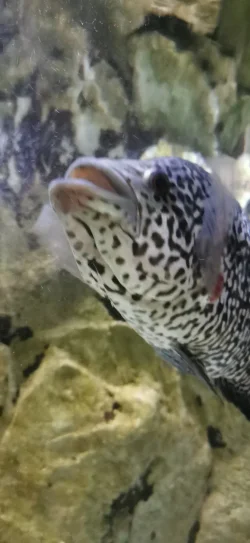 IMG_20230715_155141.webp