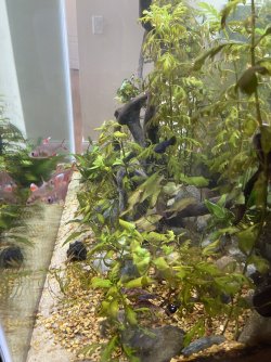IMG_3638.jpeg