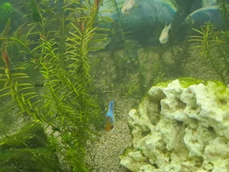 20230718_195759.webp