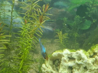 20230718_195750.webp
