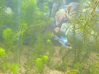 20230718_195711.webp
