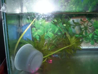 100_2654.webp