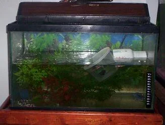 100_2322.webp