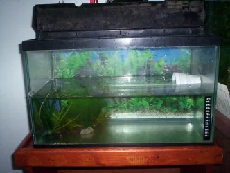 100_2662.webp