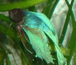 DSCF0281.webp