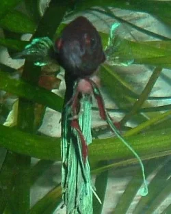 DSCF0282.webp