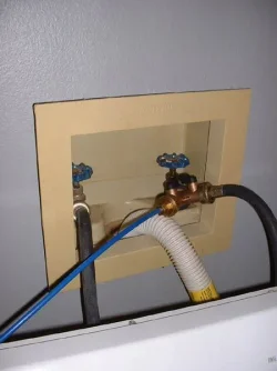 YValve.webp