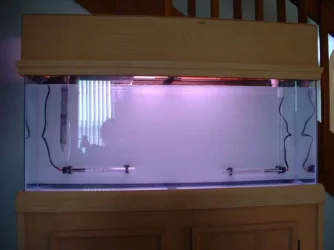 TankWater.webp