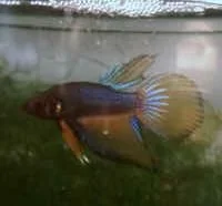 untitled.webp