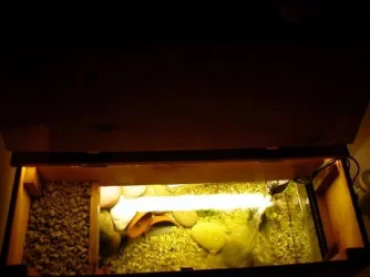 DSCN2617.webp