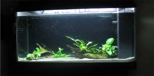 xxA_tank.webp