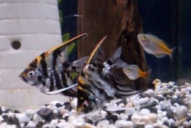 100_3023.jpg