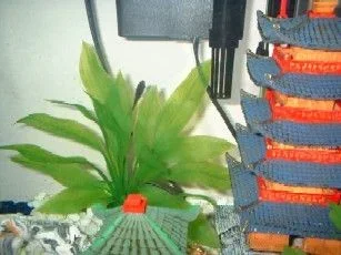 2otos.webp