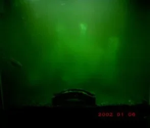 PICT0004.webp