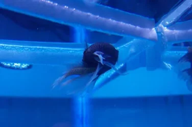 000_0019.webp