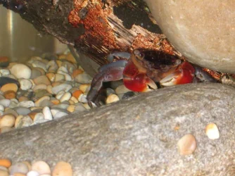 DSCN3412.webp