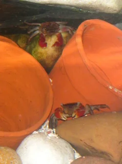 DSCN3414.webp