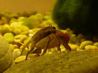 DSCN3423.webp