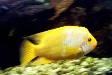 000_0373.webp