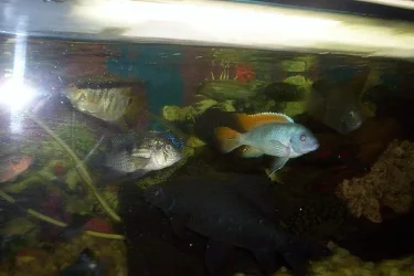 000_0365.webp