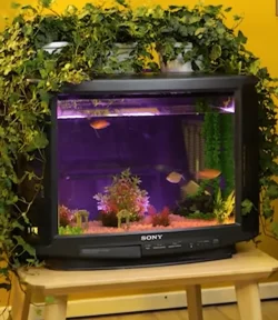 Screenshot (1195).webp
